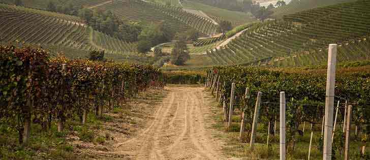 Moto avventure: Strade bianche del Chianti in moto in Toscana 2