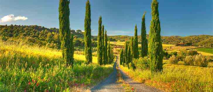 Moto avventure: Strade bianche in moto Crete Senesi, Val d'Orcia, Trasimeno 1