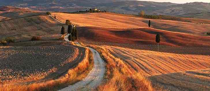 Moto avventure: Strade bianche in moto Crete Senesi, Val d'Orcia, Trasimeno 2