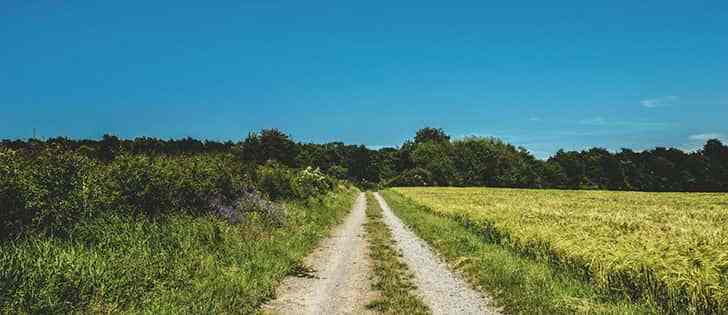 Moto avventure: Strade bianche in moto Crete Senesi, Val d'Orcia, Trasimeno 3