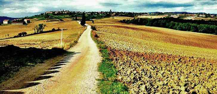 Moto avventure: Strade bianche Chianti, Crete Senesi, Val d'Orcia, Trasimeno 1