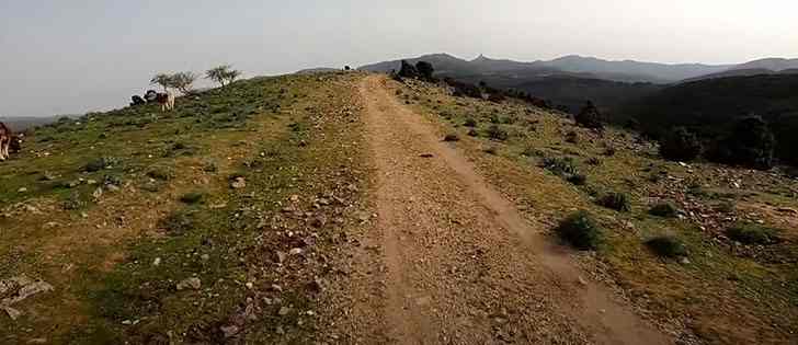 Moto avventure: Sardegna off-road tra Monte Orrunori, Urzulei, Monte, Lopene 3