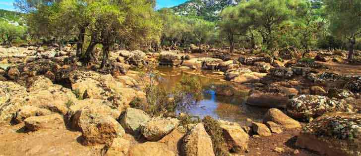 Moto avventure: Moto Avventura in Sardegna da Urzulei a Voragine del Golgo 2